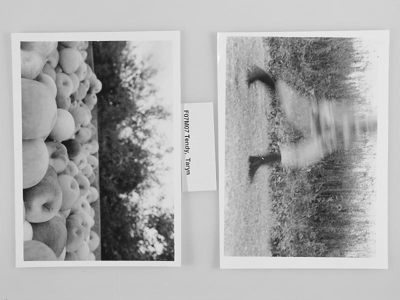 F07 FP_090